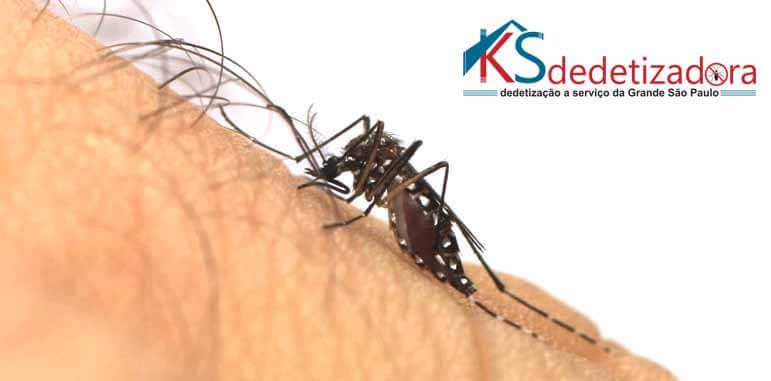 Dedetizadora Dengue