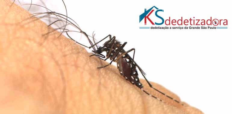 Dedetizadora Zika Dedetizadora Zika