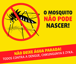 O mosquito não pode nascer